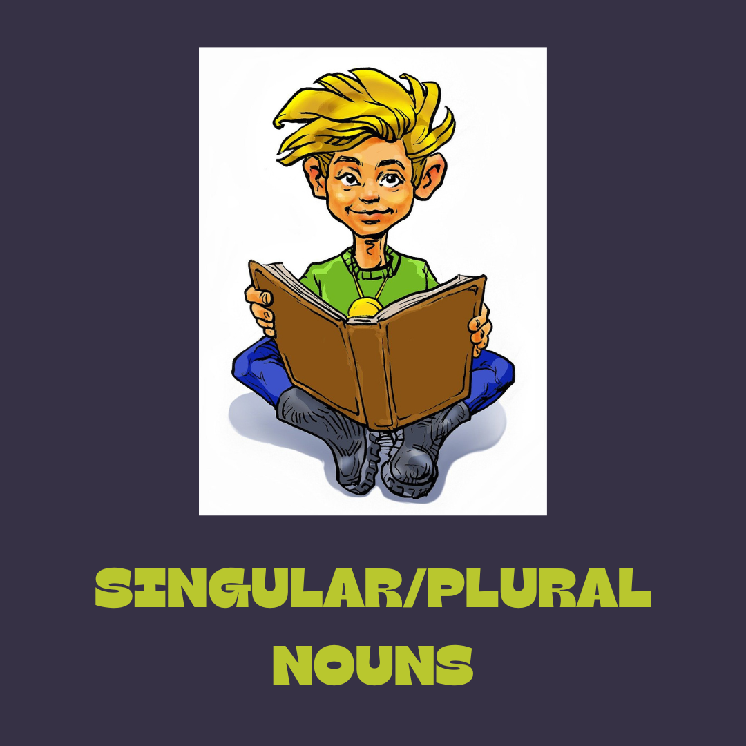 Singular/Plural-Only Nouns