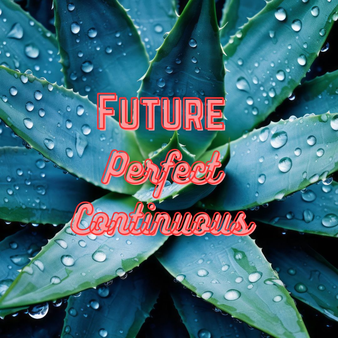 The Future Perfect Continuous tense