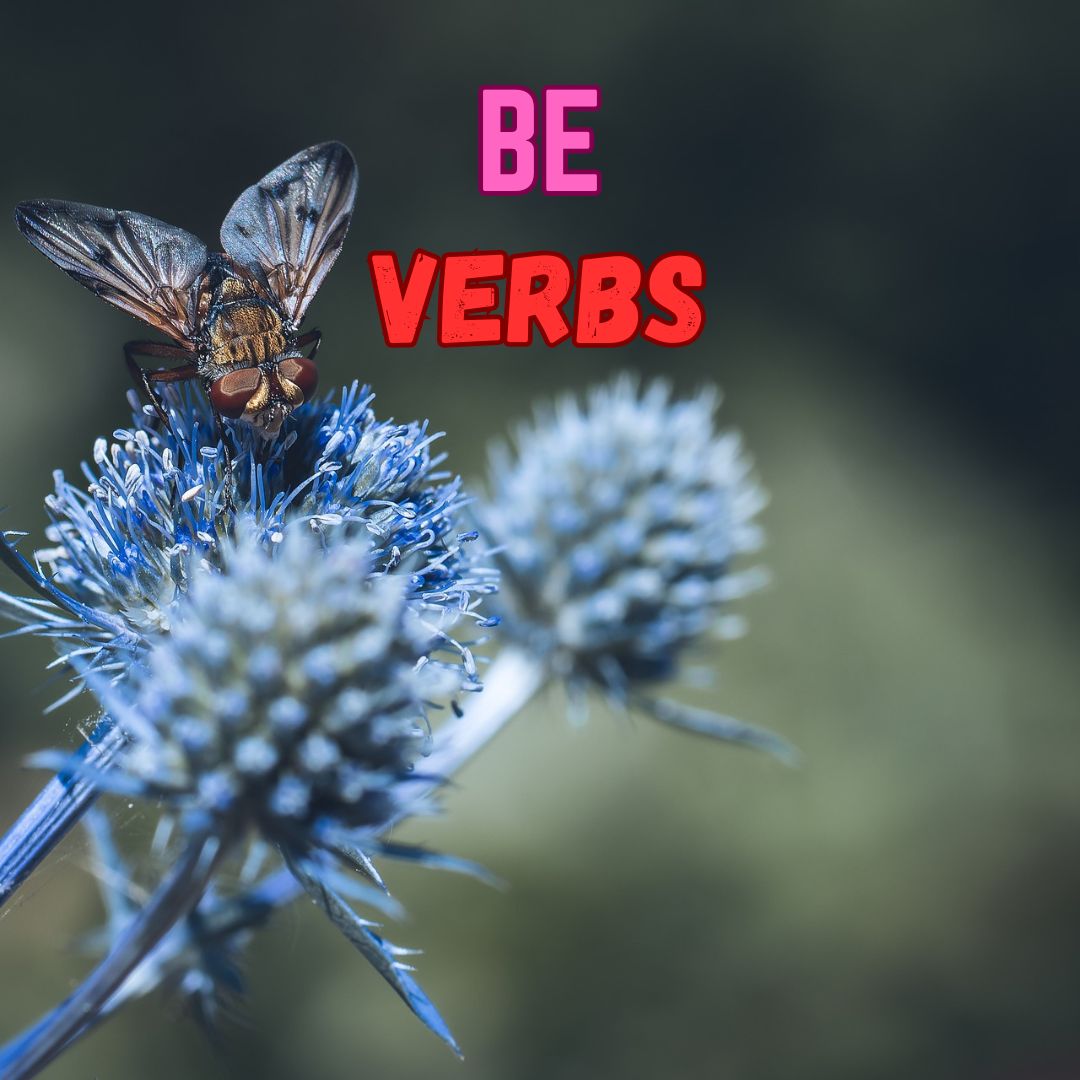 Auxiliary Verbs: to be