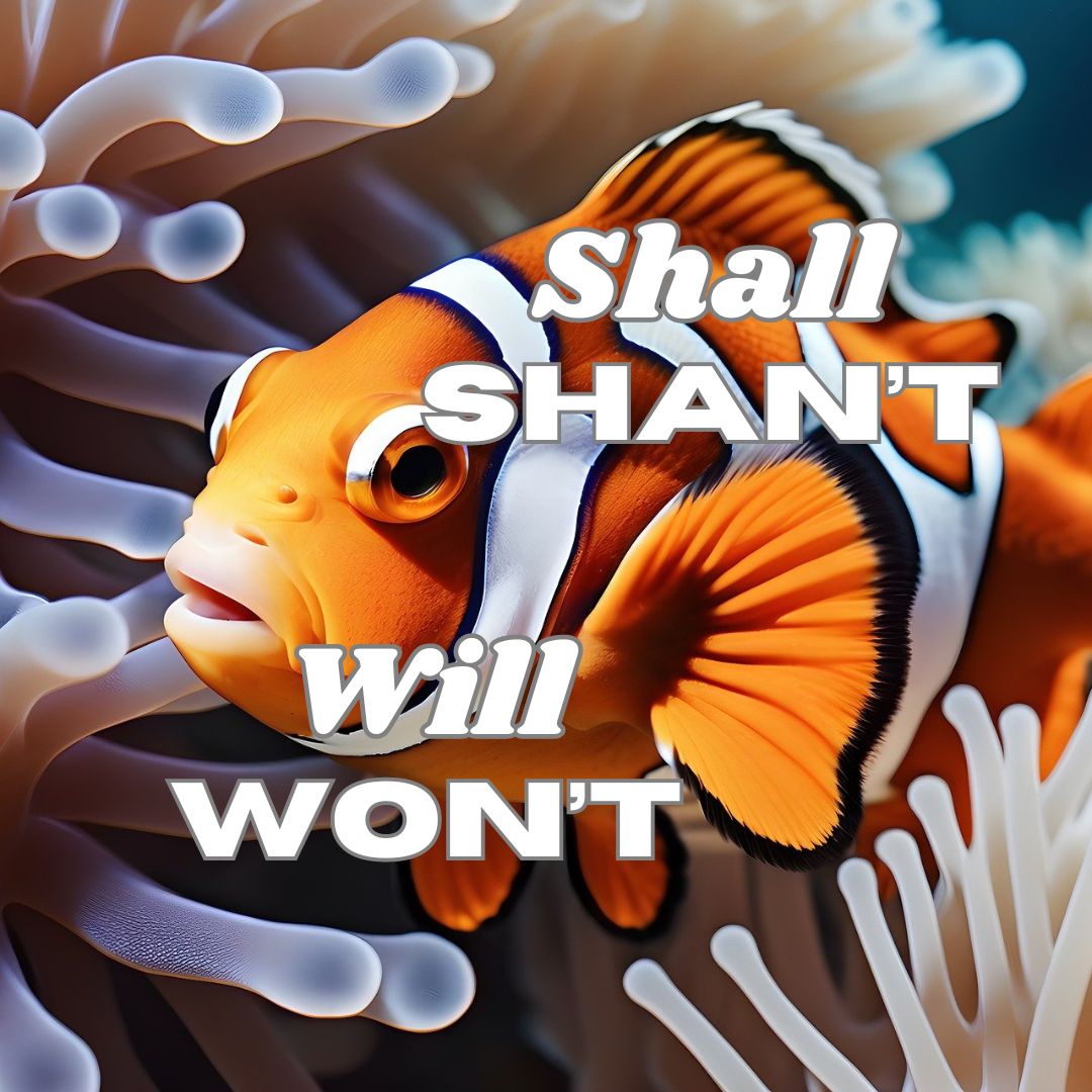 Auxiliary Verbs: shall and will