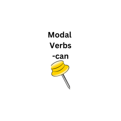 Modal Verbs: can
