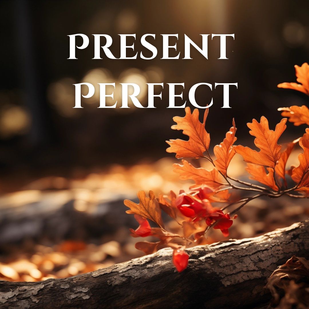The Present Perfect tense