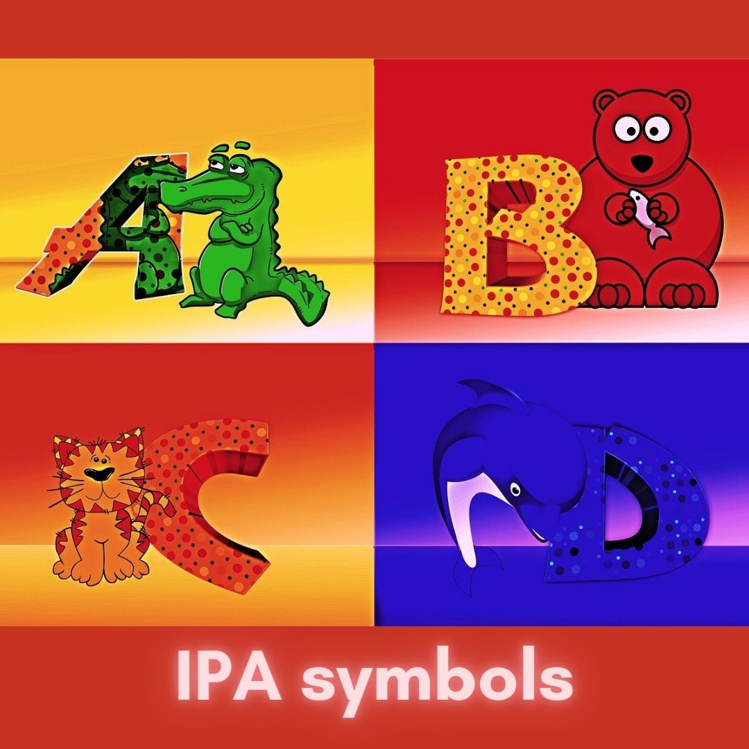 The International Phonetic Alphabet symbols for English phonemes