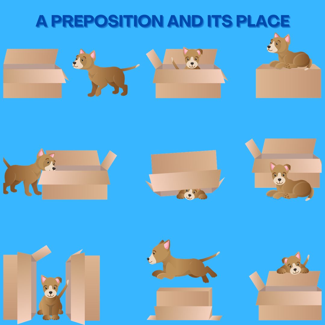 The place of Prepositions