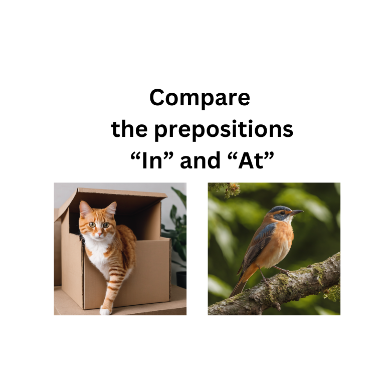 Comparison of the Prepositions "In" and "At"