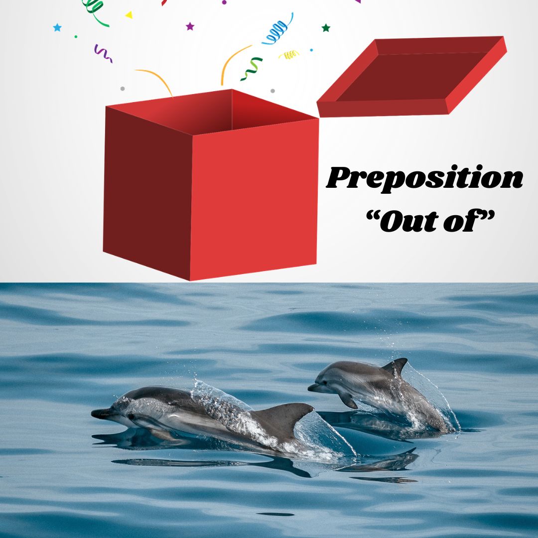 Preposition - "Out of"