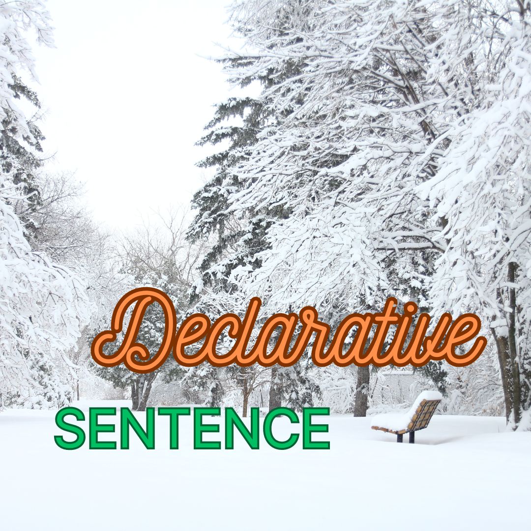 Declarative Sentence in English Grammar