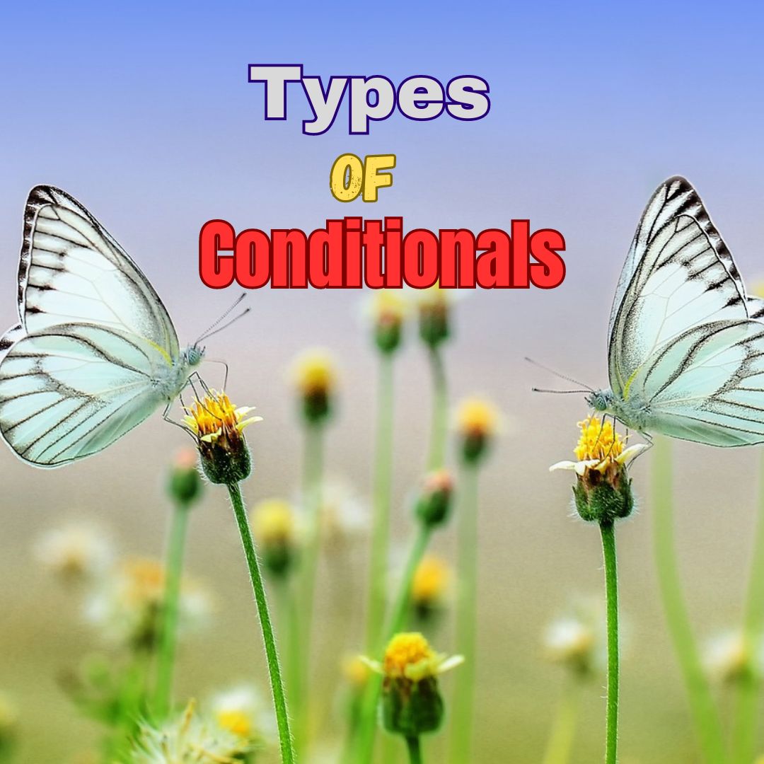 Types of Conditional Sentences