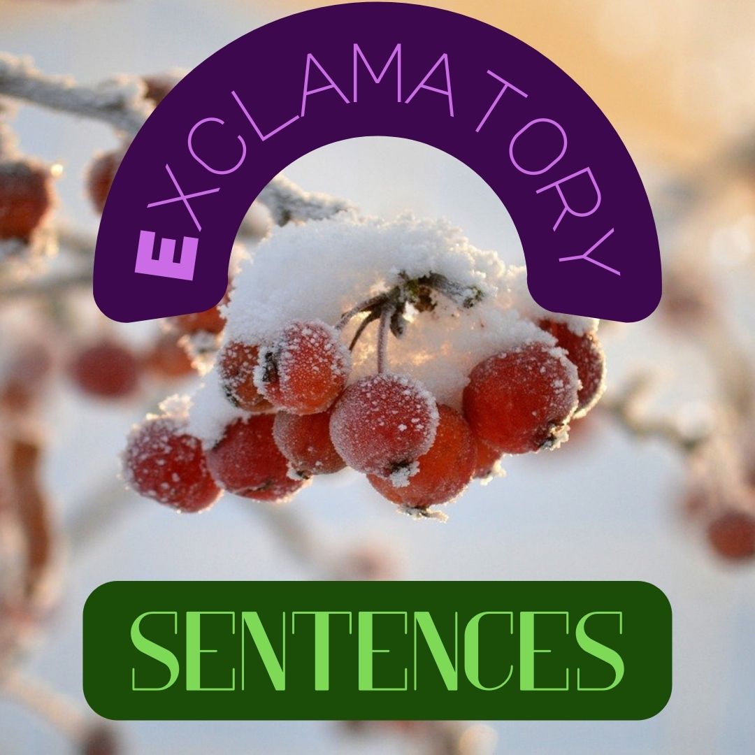 Exclamatory Sentences