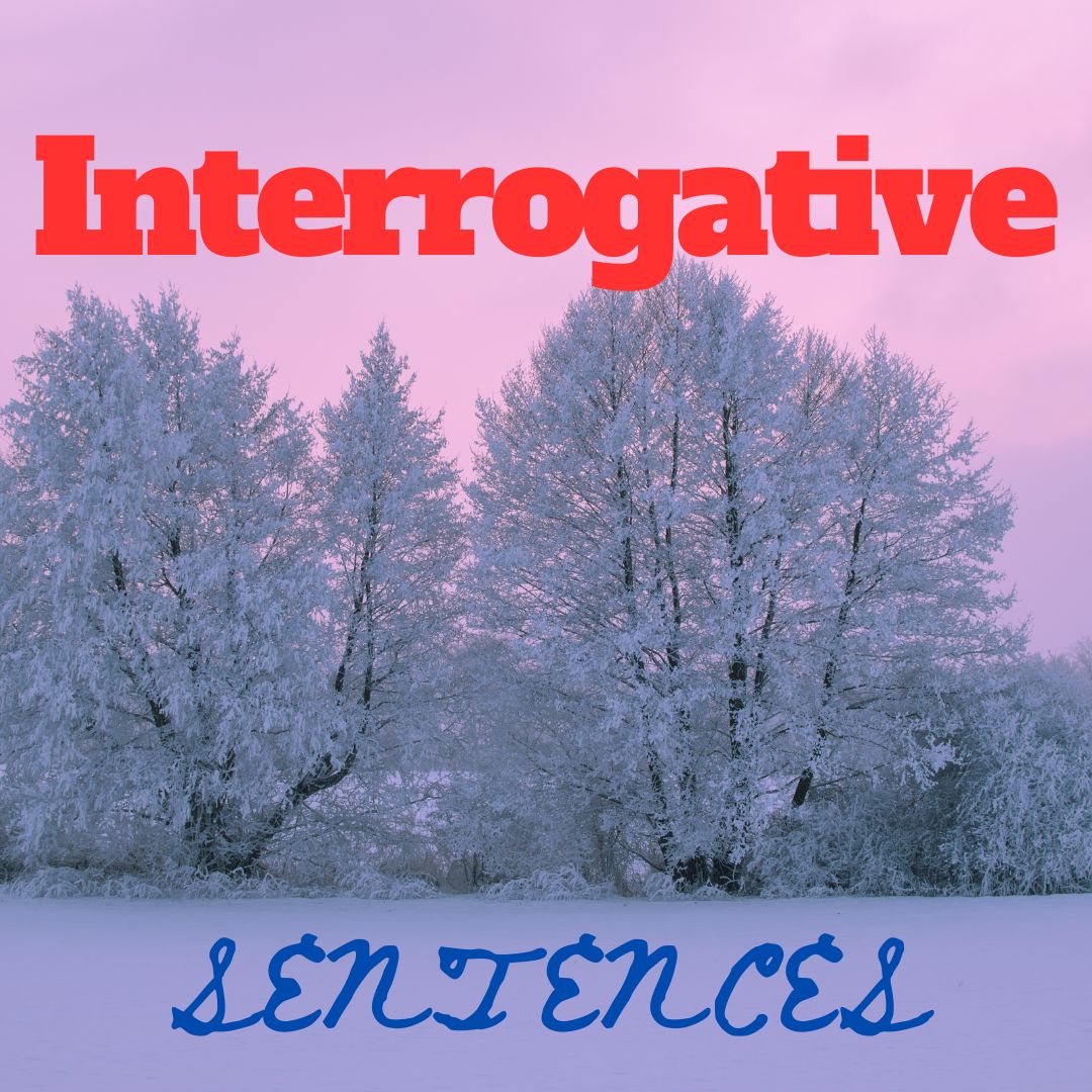 Types of Interrogative Sentences