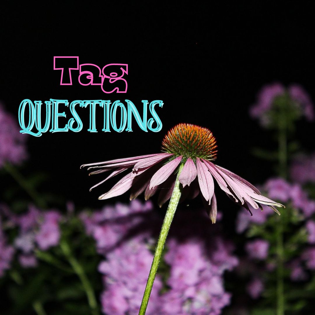 Tag Questions (Interrogative Sentence)