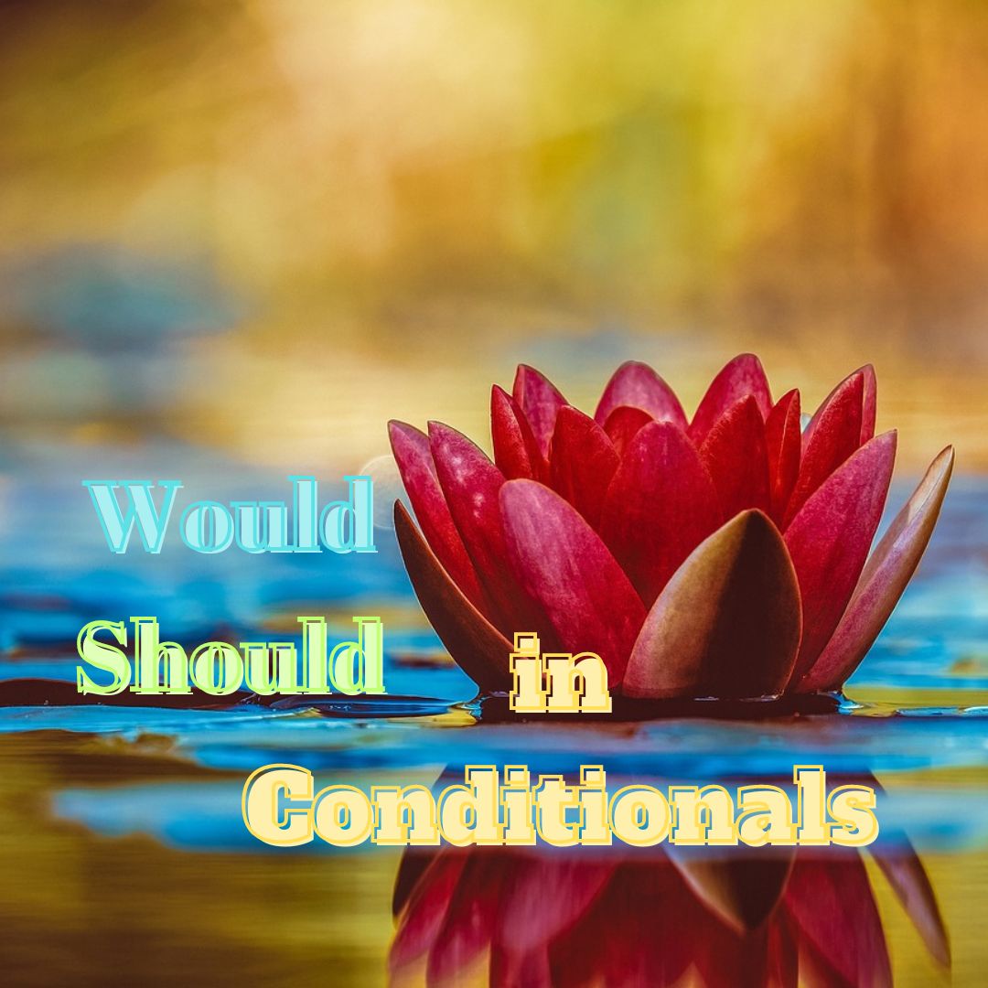 Would and Should in Conditional sentences