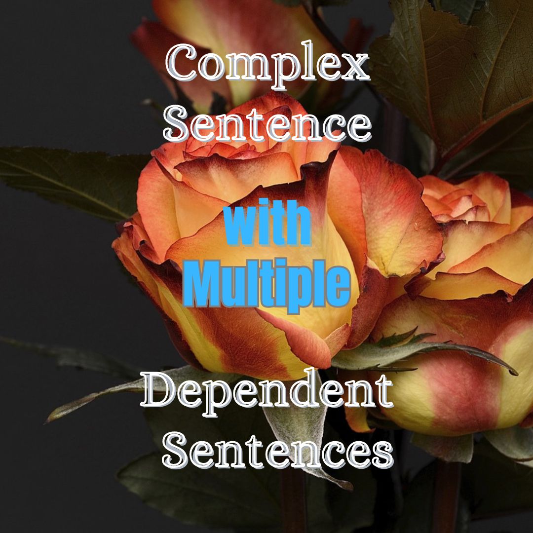 Complex Sentence With Multiple Dependent Sentences