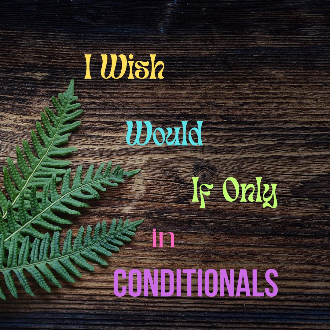 I wish, Would, and If Only in Conditionals