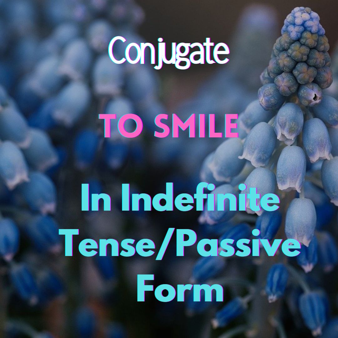 Conjugation of to smile in Indefinite Tense Form/Passive