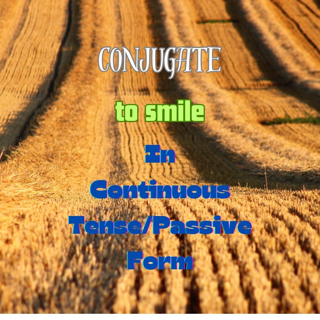 Conjugation of to smile in Continuous Tense Form/Passive
