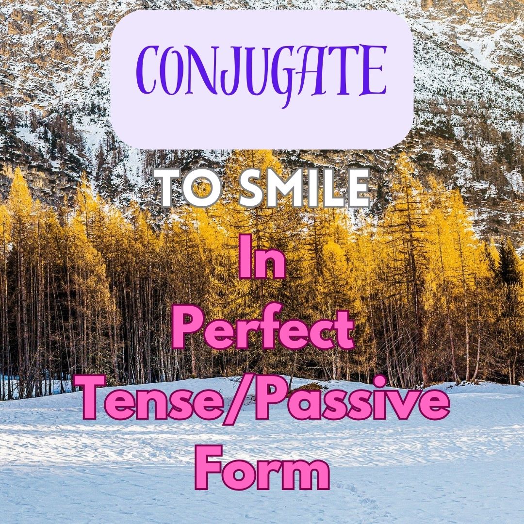 Conjugation of to smile in Perfect Tense Form/Passive