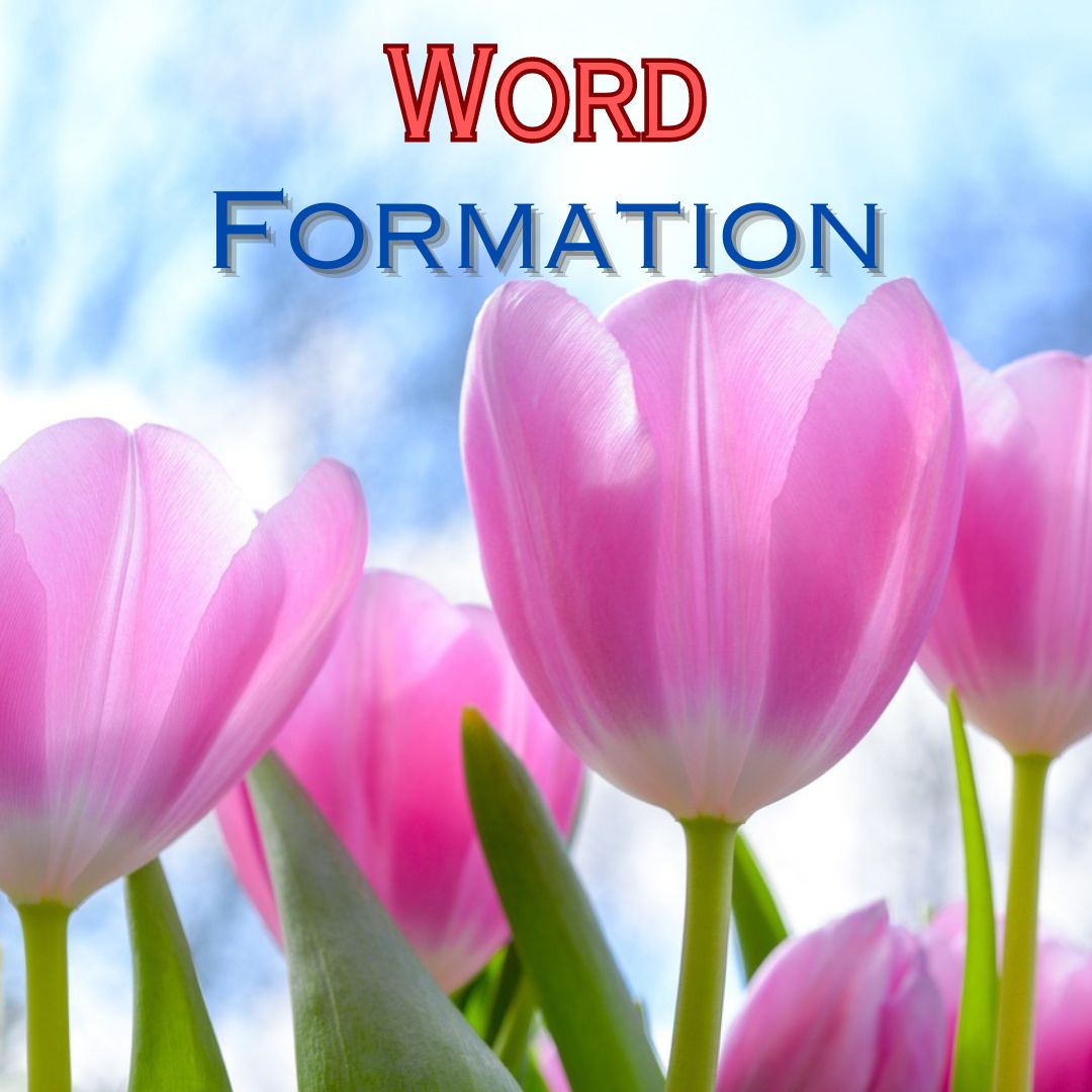 Word Formation in English