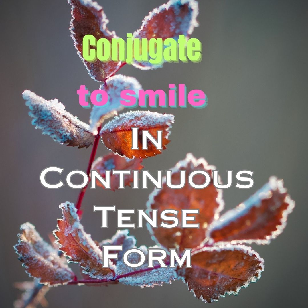 Conjugation of to smile in Continuous Tense Form/Active