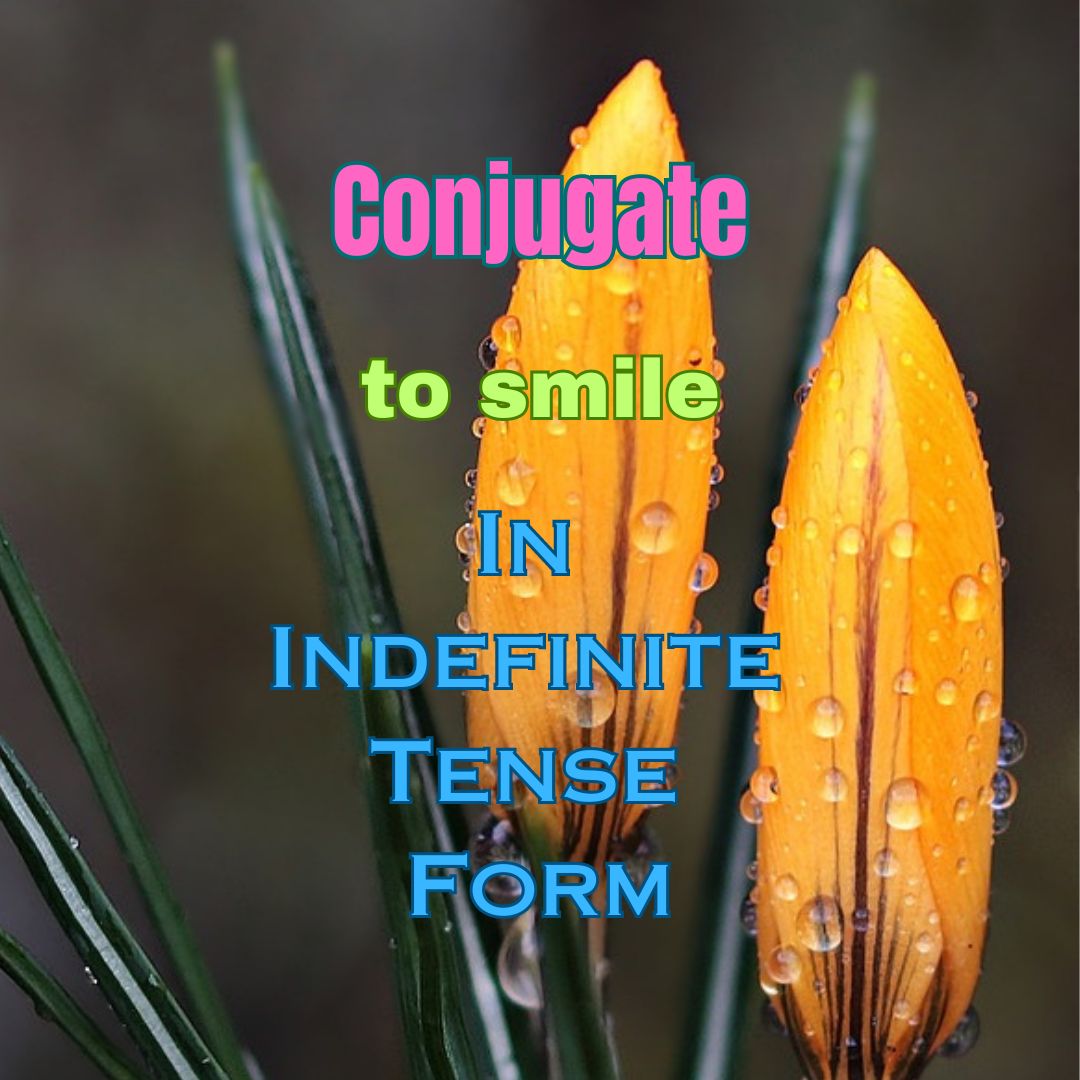 Conjugation  of "to smile" in Indefinite Tense Form