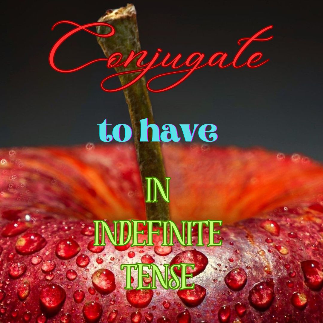 Conjugation of To Have in Indefinite Tense