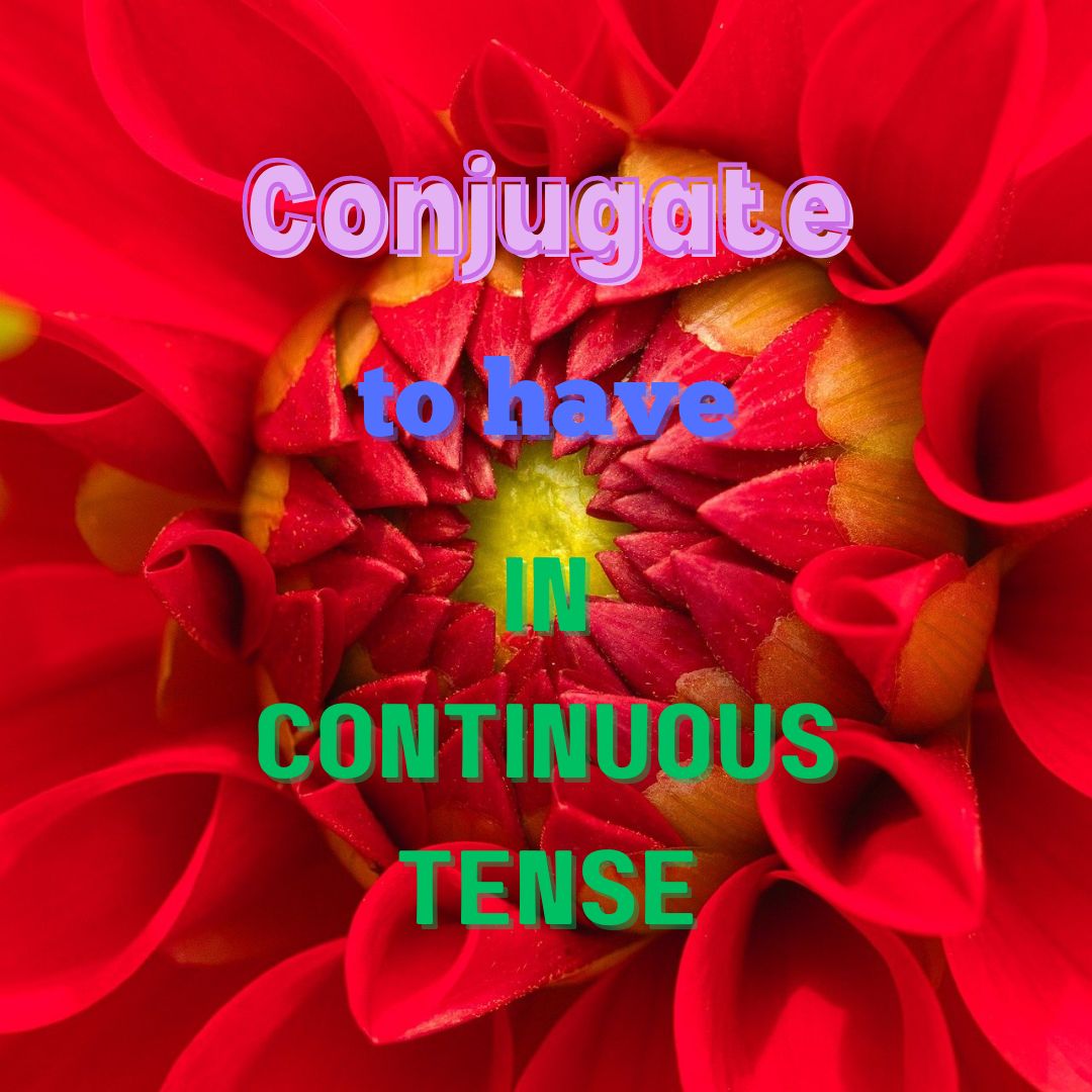 Conjugation of To Have in Continuous Tense