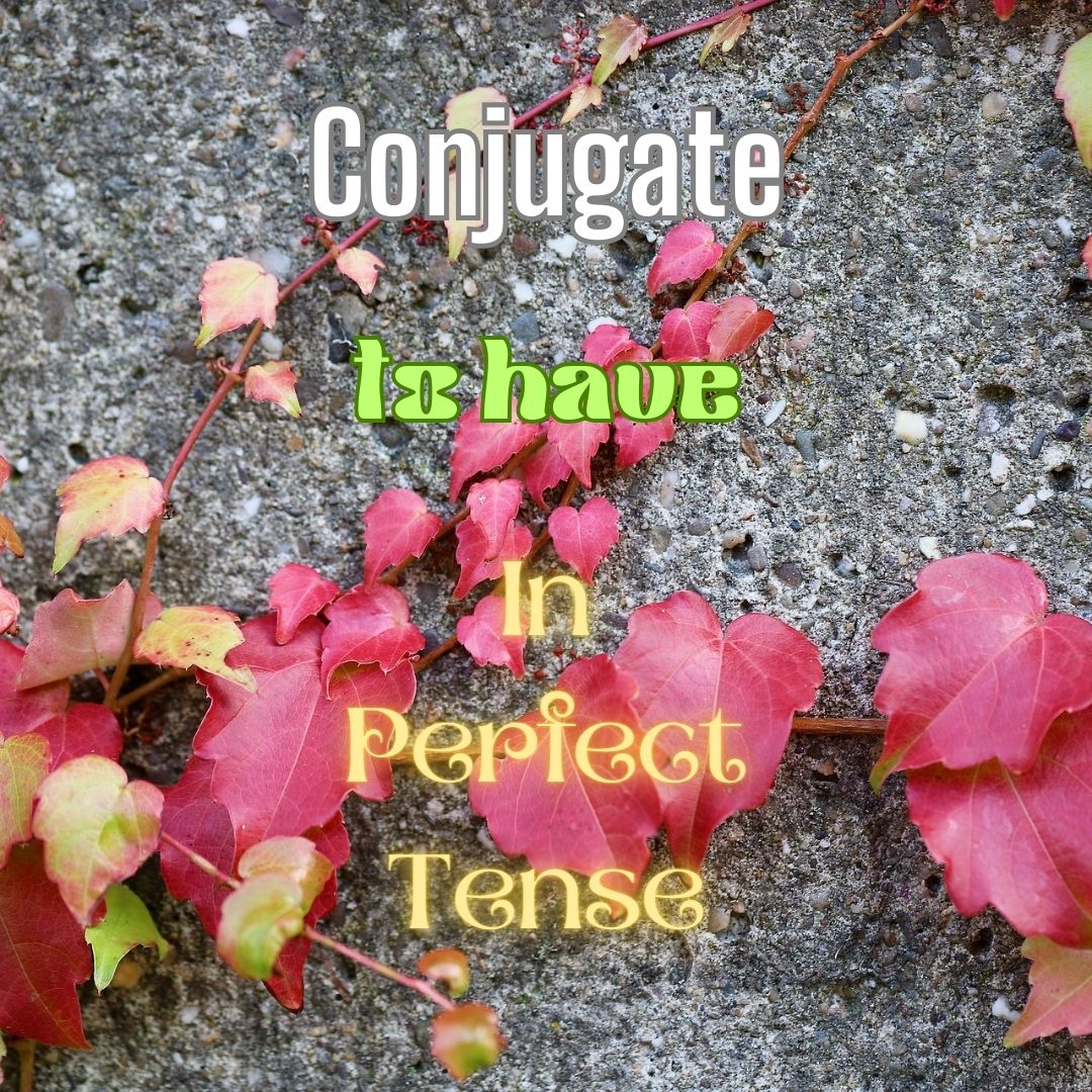Conjugation of To Have in Perfect Tense