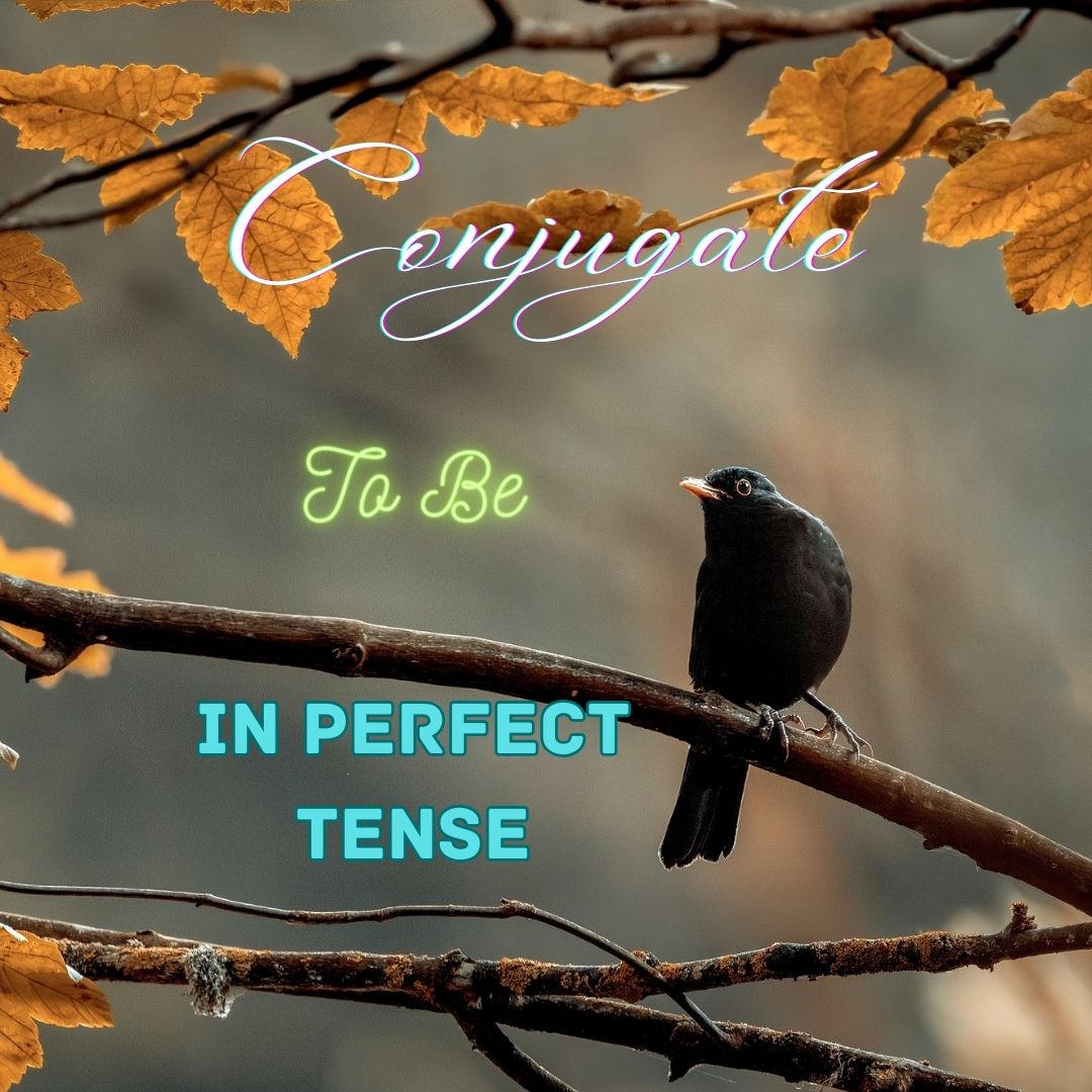 Conjugation of To Be in Perfect Tense
