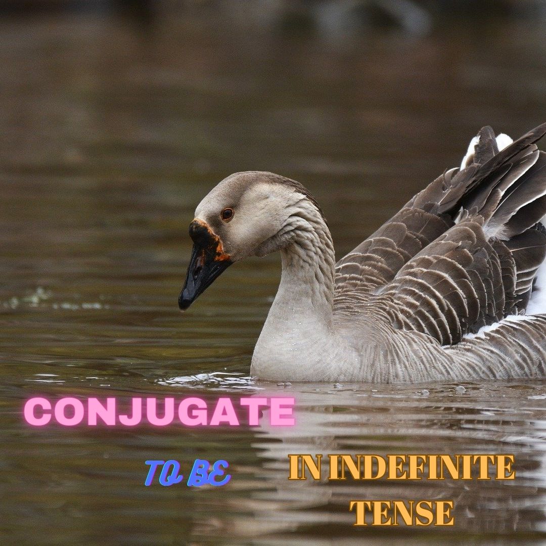 Conjugation of To Be in Indefinite Tense